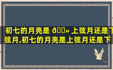 初七的月亮是 🌻 上弦月还是下弦月,初七的月亮是上弦月还是下弦 🐺 月呢